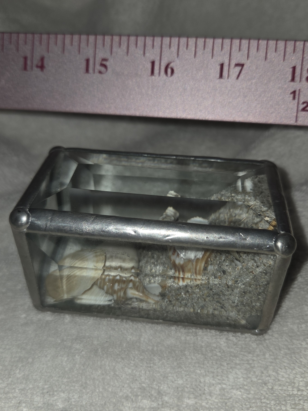 Glass Display Terrarium Box with Silver Frame - Gray Sand & Shell Accent